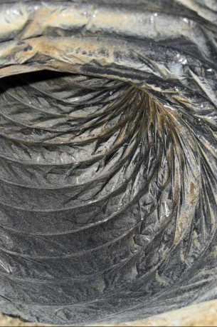 Brothers Duct Cleaning Services contact about air duct cleaning ca air duct cleaning in Whittier dryer vent cleaning ca dryer vent cleaning in Whittier